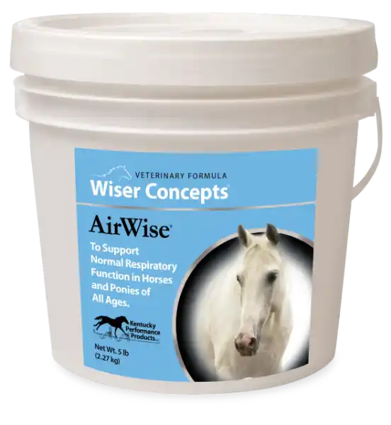 Picture of Air Wise 5lb 
